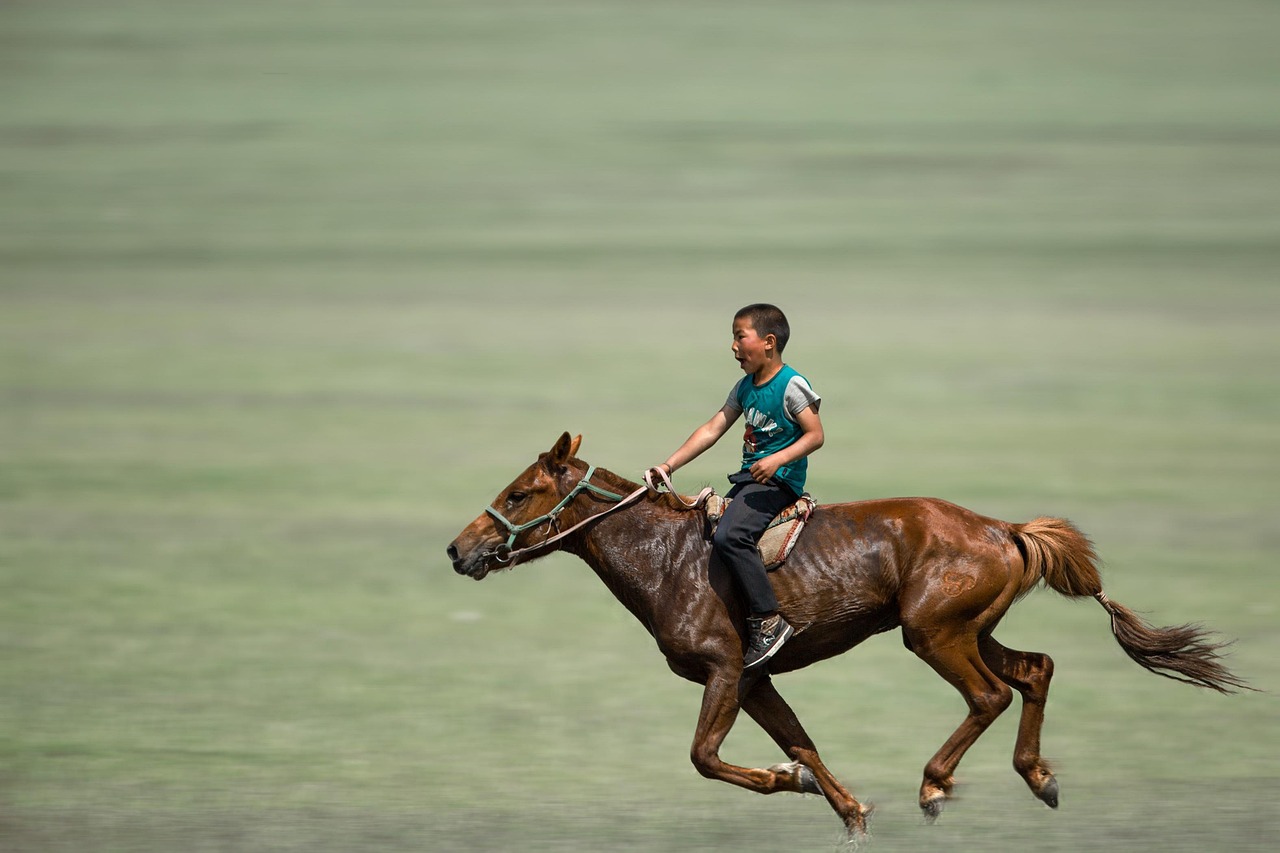 horse riding gallop horse riding gallop