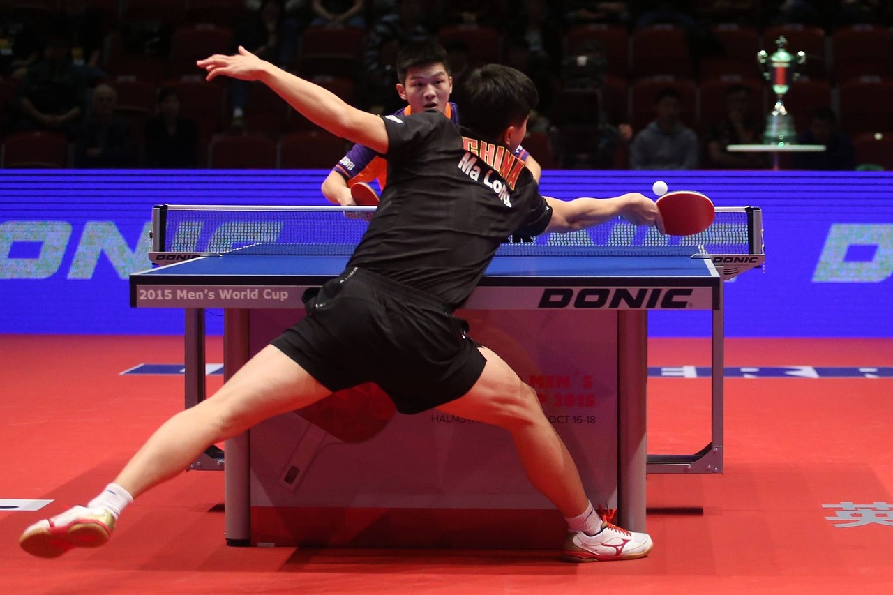 professional table tennis player professional table tennis player