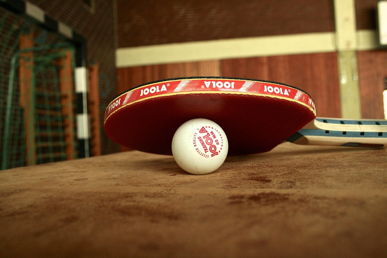 table tennis tournament arena table tennis tournament arena